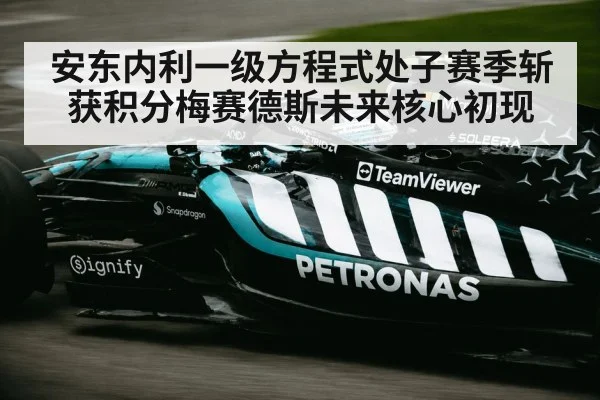 Mercedes F1 team