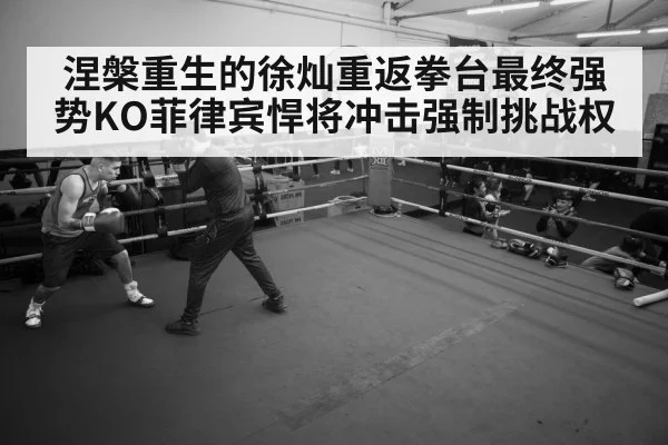 boxer training gym