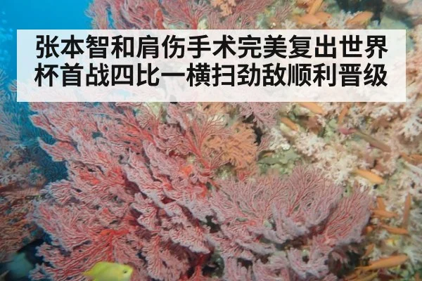 张本智和肩伤手术完美复出世界杯首战四比一横扫劲敌顺利晋级